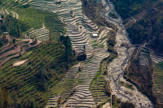 BEST OF SIKKIM-DARJEELING