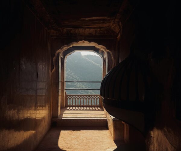 Ranthambore (Ex-Delhi)