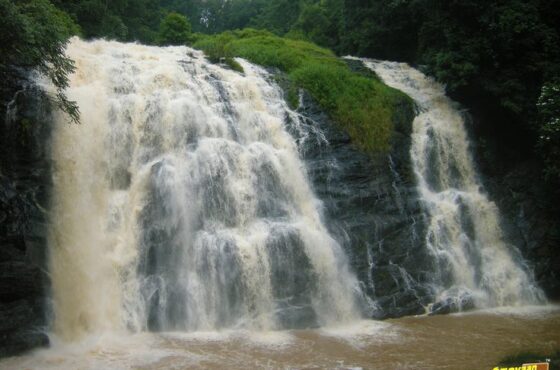 Enchanting Coorg Mysore Ooty Trip