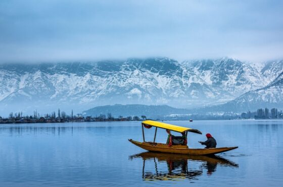 Feel Alive in Kashmir in Summer
